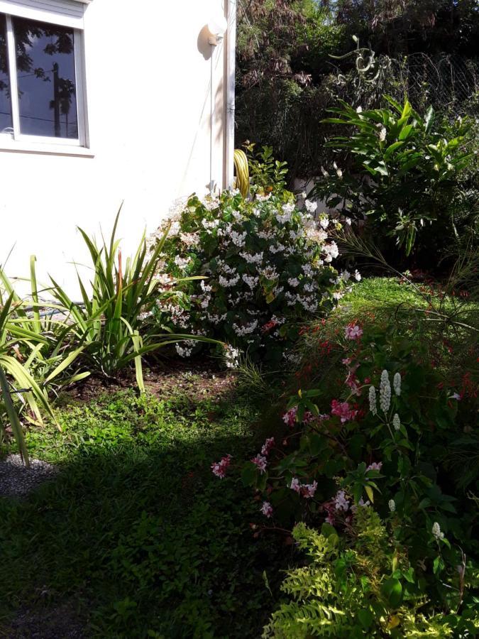 La Siguine Villa Gourbeyre Luaran gambar