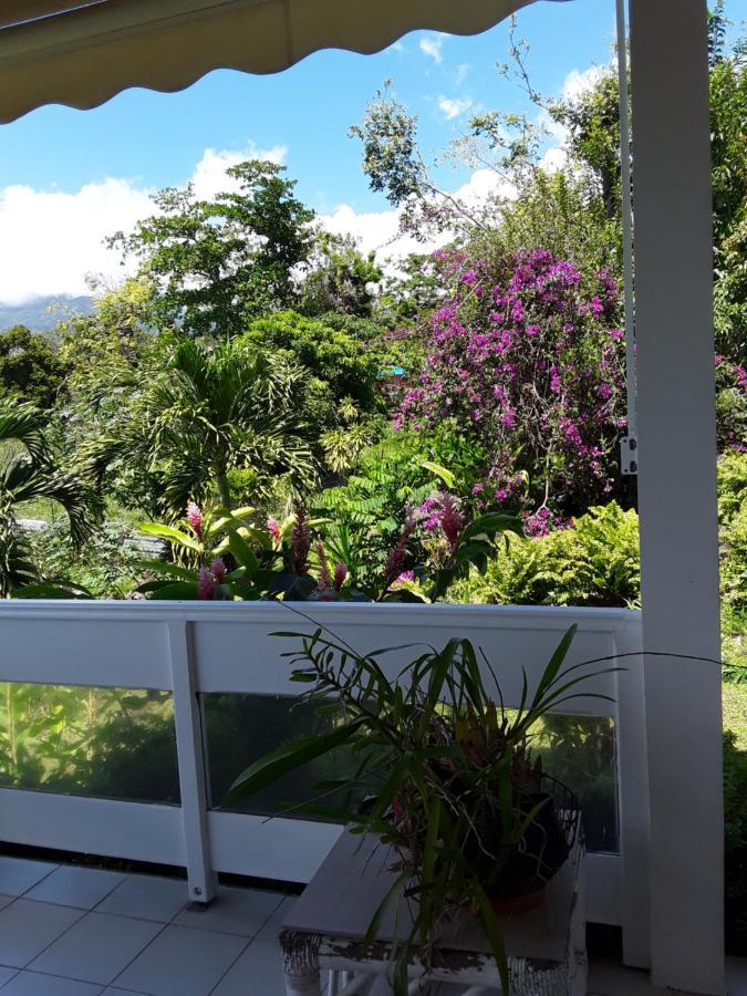 La Siguine Villa Gourbeyre Luaran gambar