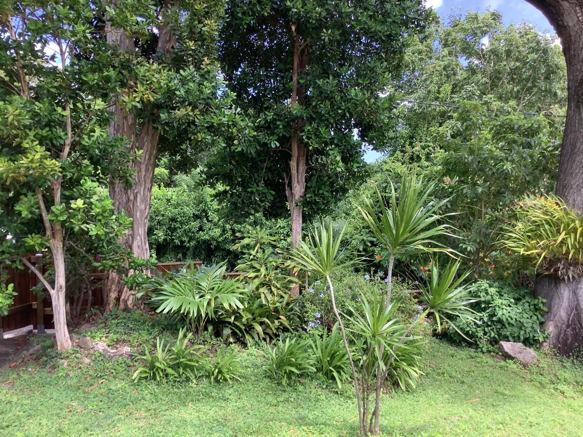 La Siguine Villa Gourbeyre Luaran gambar