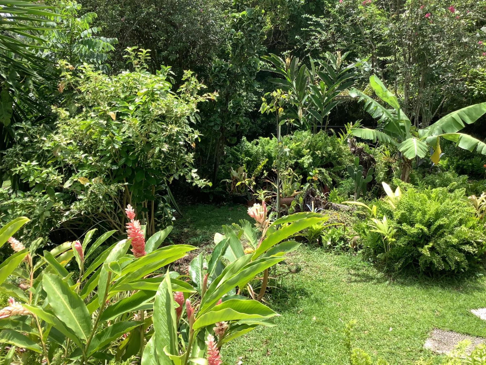 La Siguine Villa Gourbeyre Luaran gambar